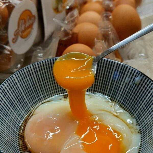 onsen egg